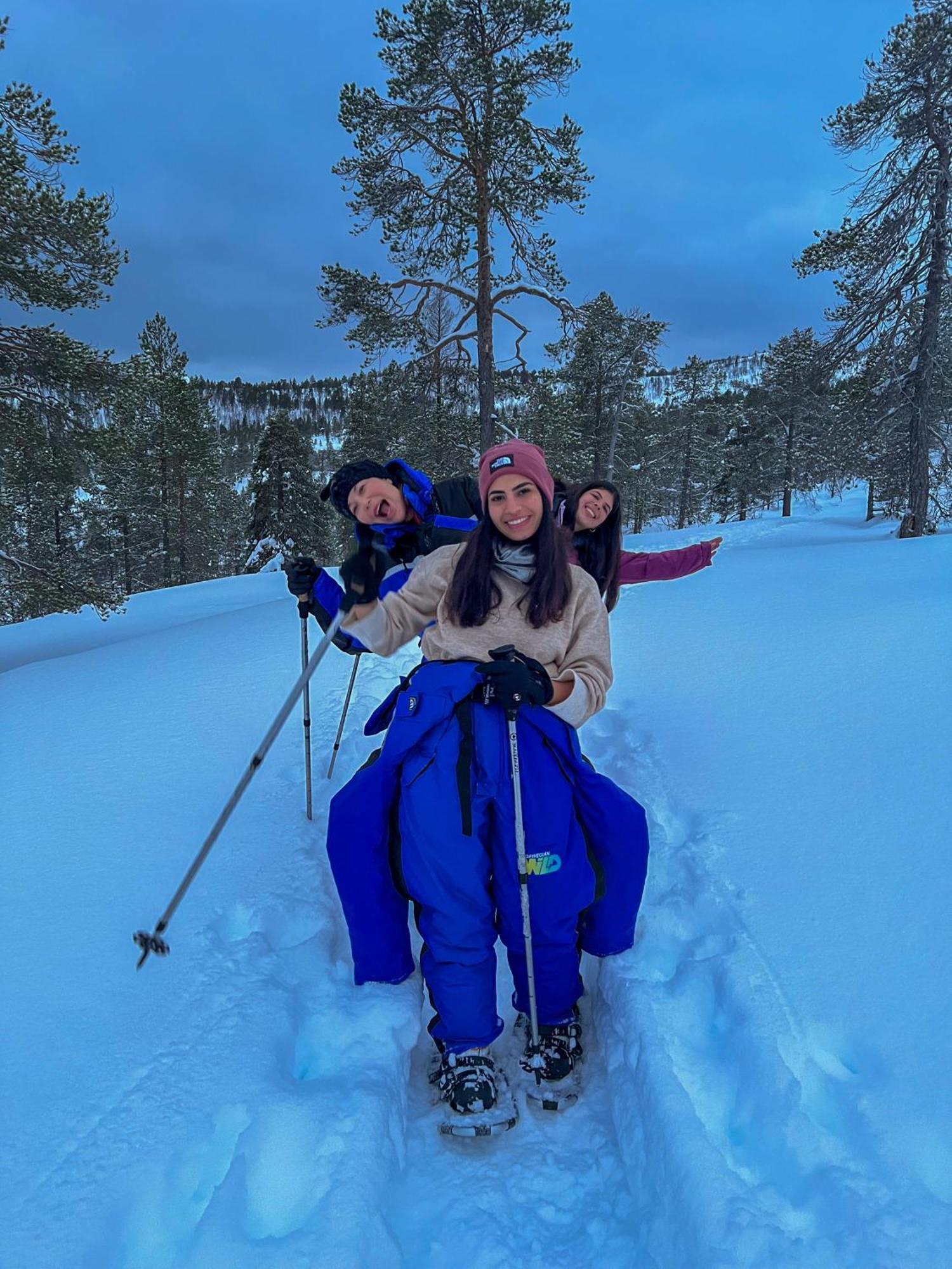 הוילה Brygghaugen Norwegian Wild מראה חיצוני תמונה