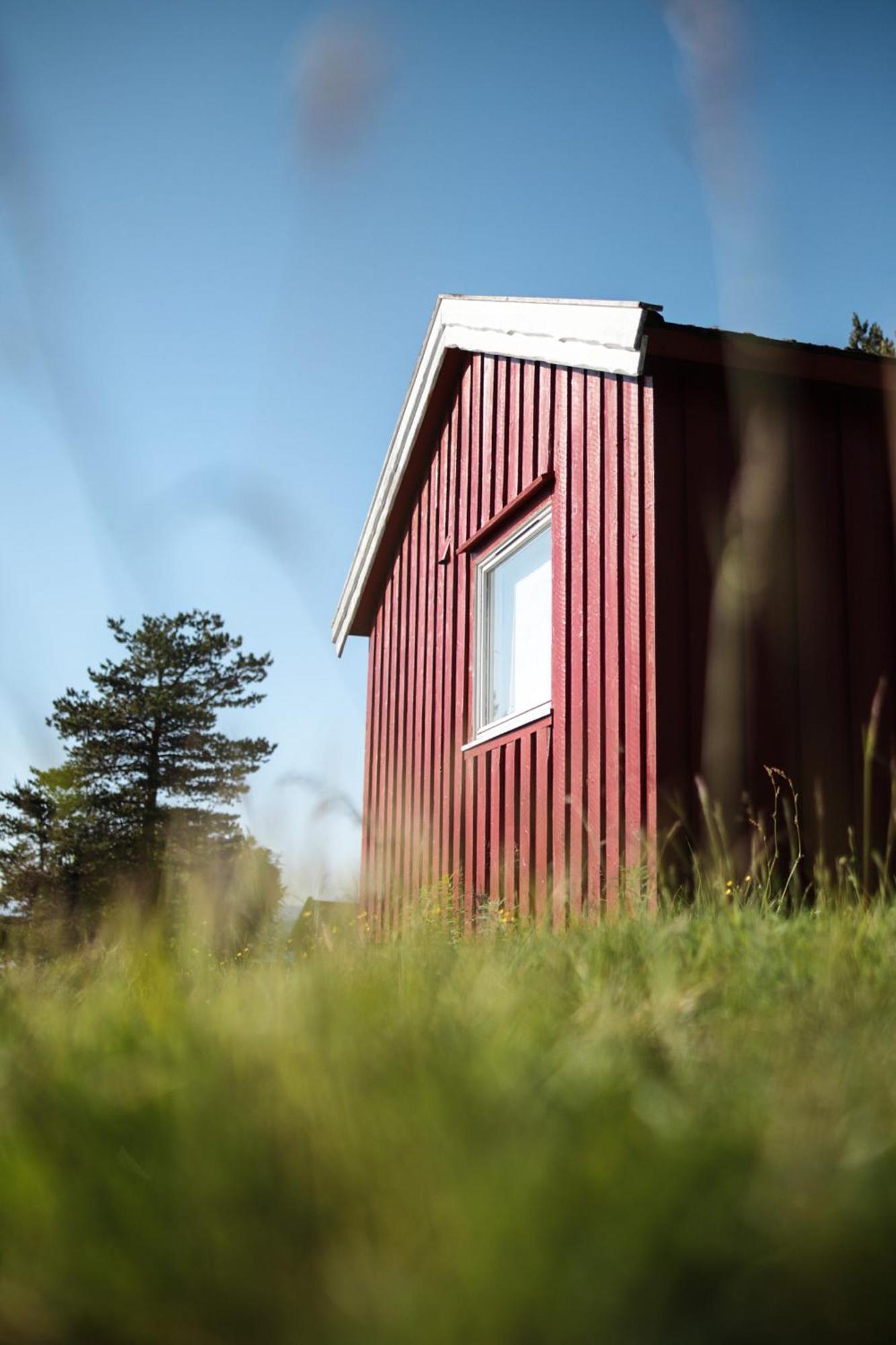 הוילה Brygghaugen Norwegian Wild מראה חיצוני תמונה
